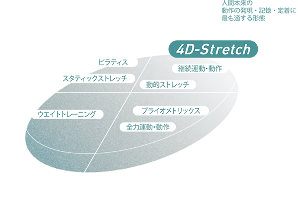4D-Stretchマシン 十字グラフ