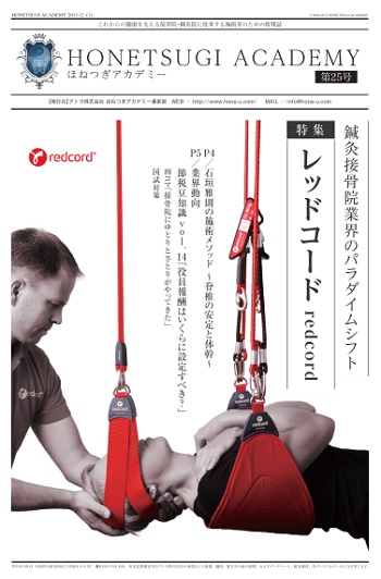 レッドコード　2セット　REDCORD