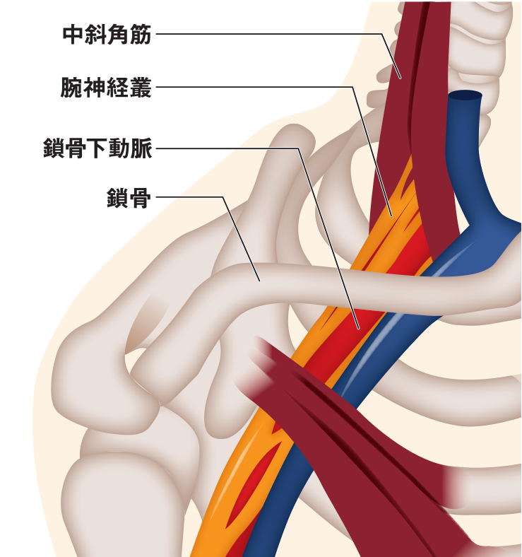 現代人の姿勢から考える自覚症状 アトラアカデミー