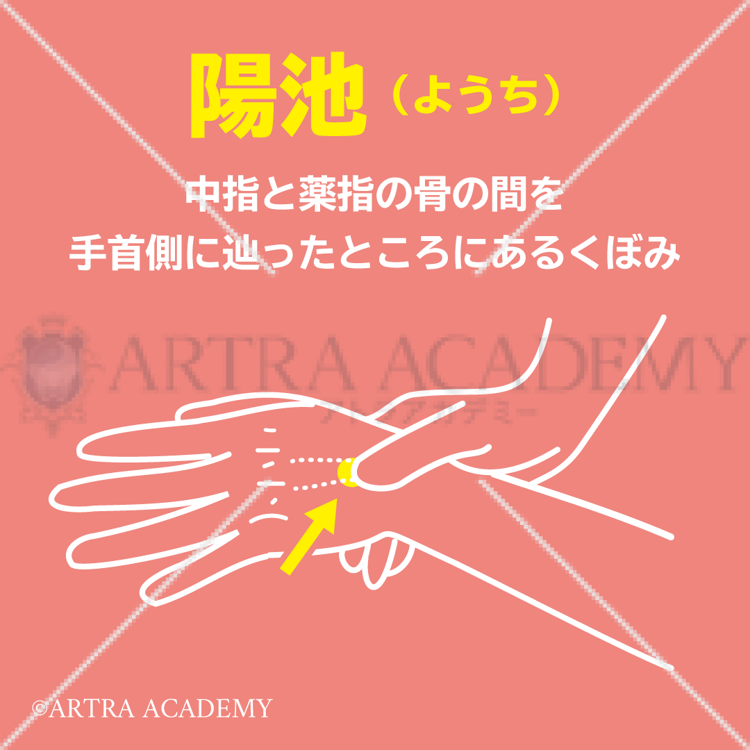 ツボ〈陽池〉