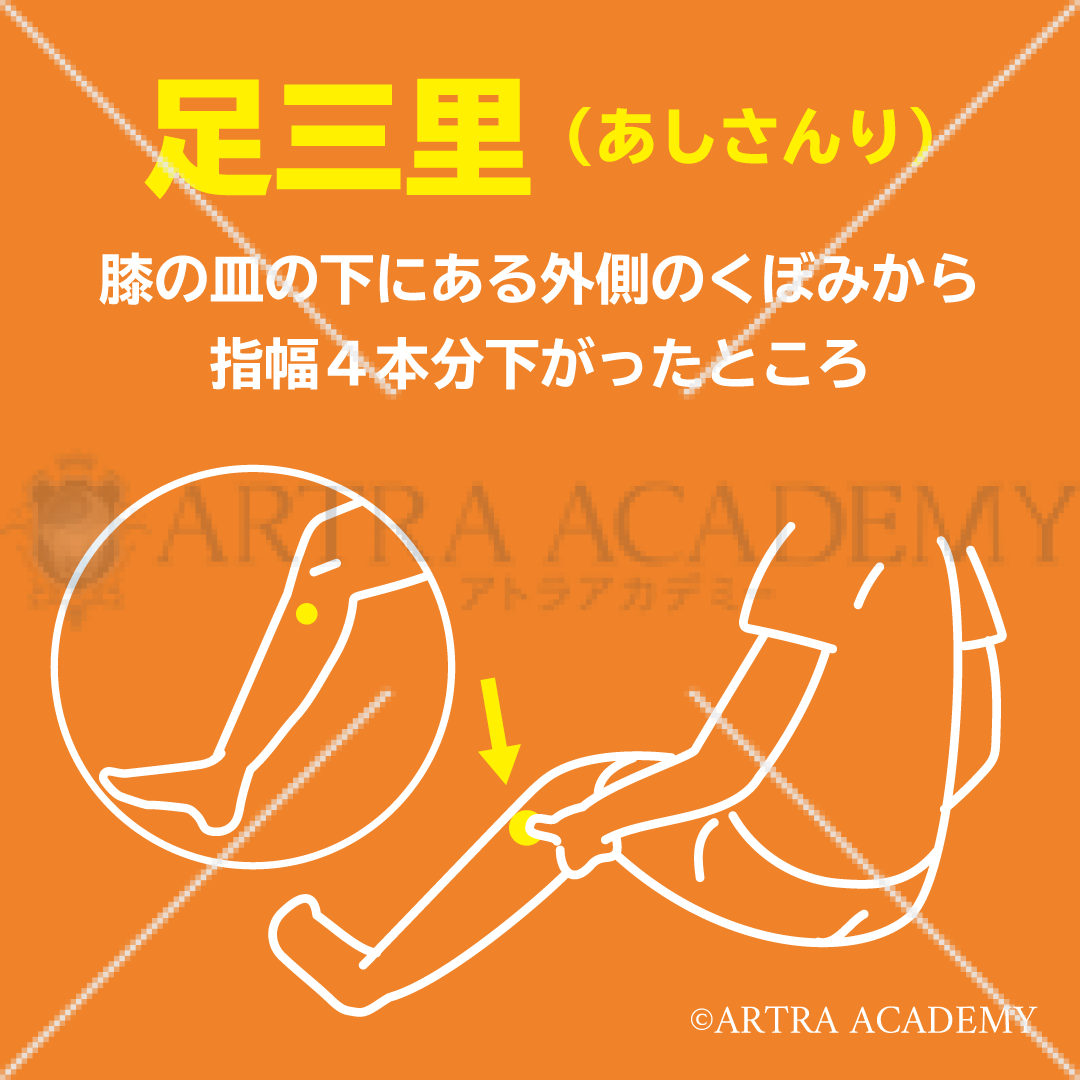 ツボ〈足三里〉