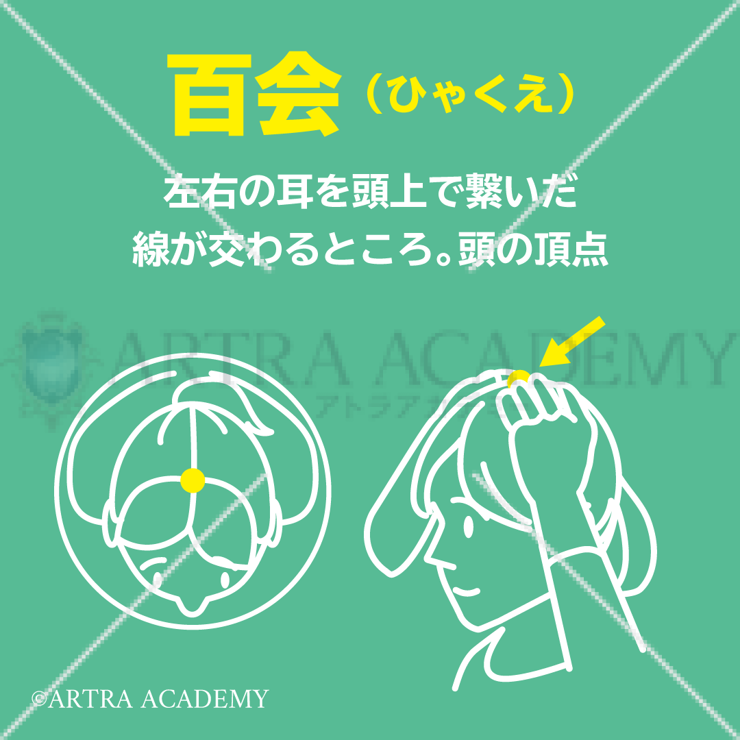 接骨院の集患に役立つ無料イラスト ツボ 百会 アトラアカデミー