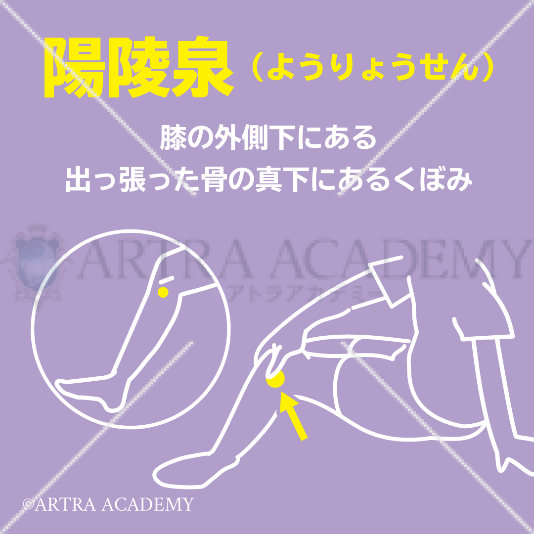 ツボ〈陽陵泉〉