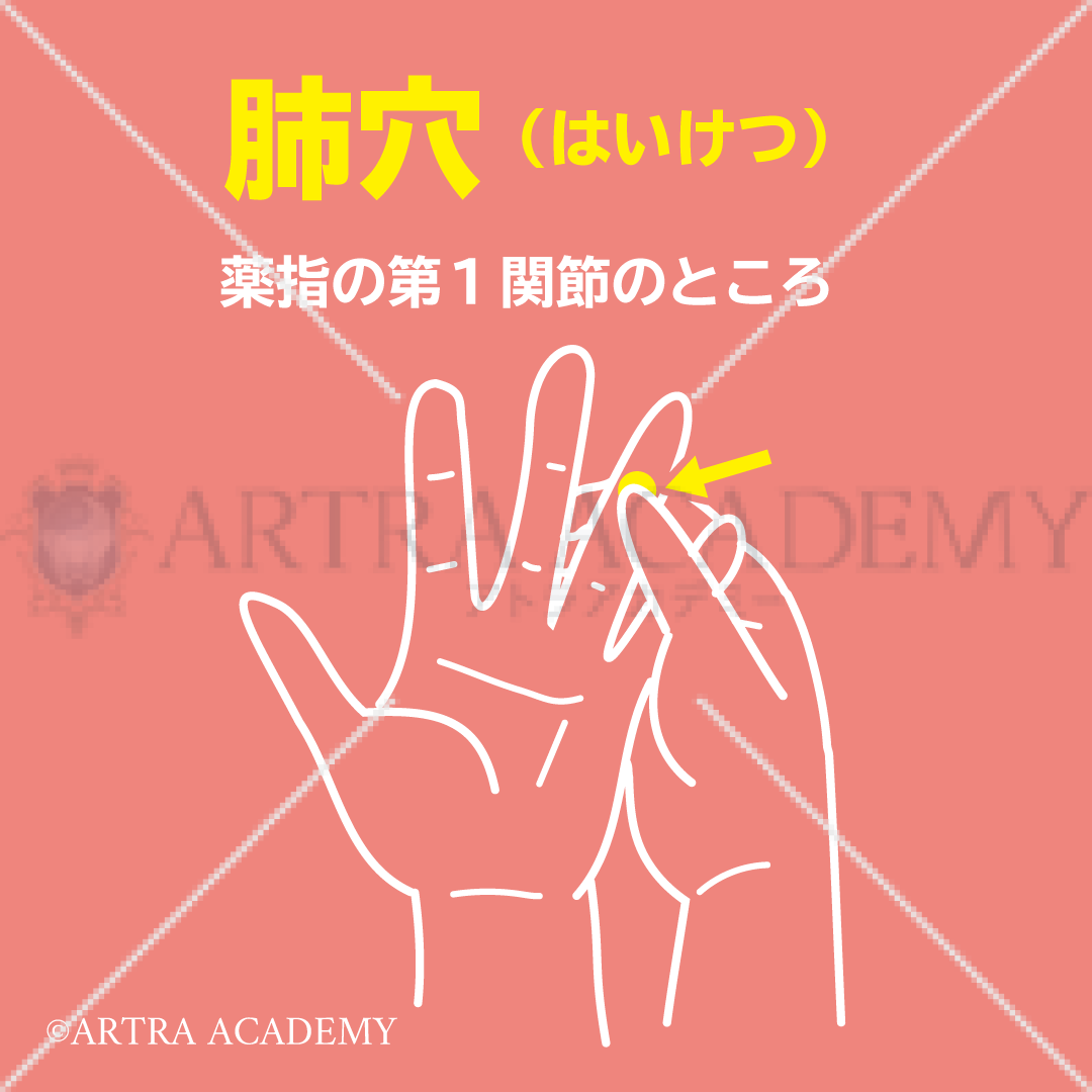 ツボ〈肺穴〉