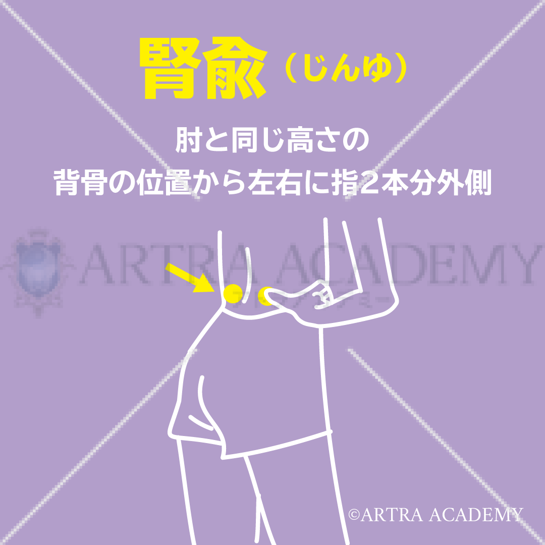 ツボ〈腎兪〉