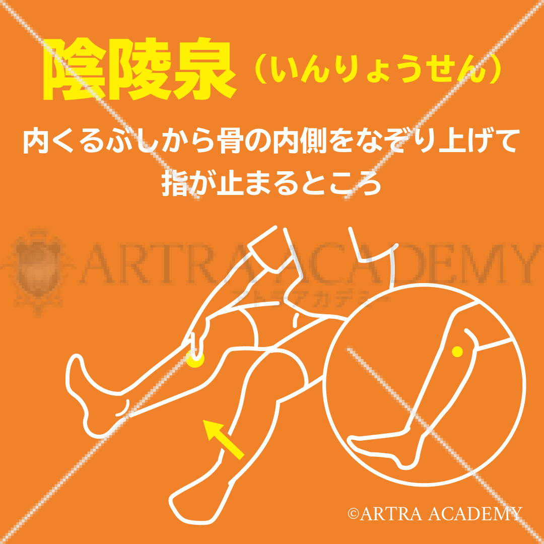 ツボ〈陰陵泉〉