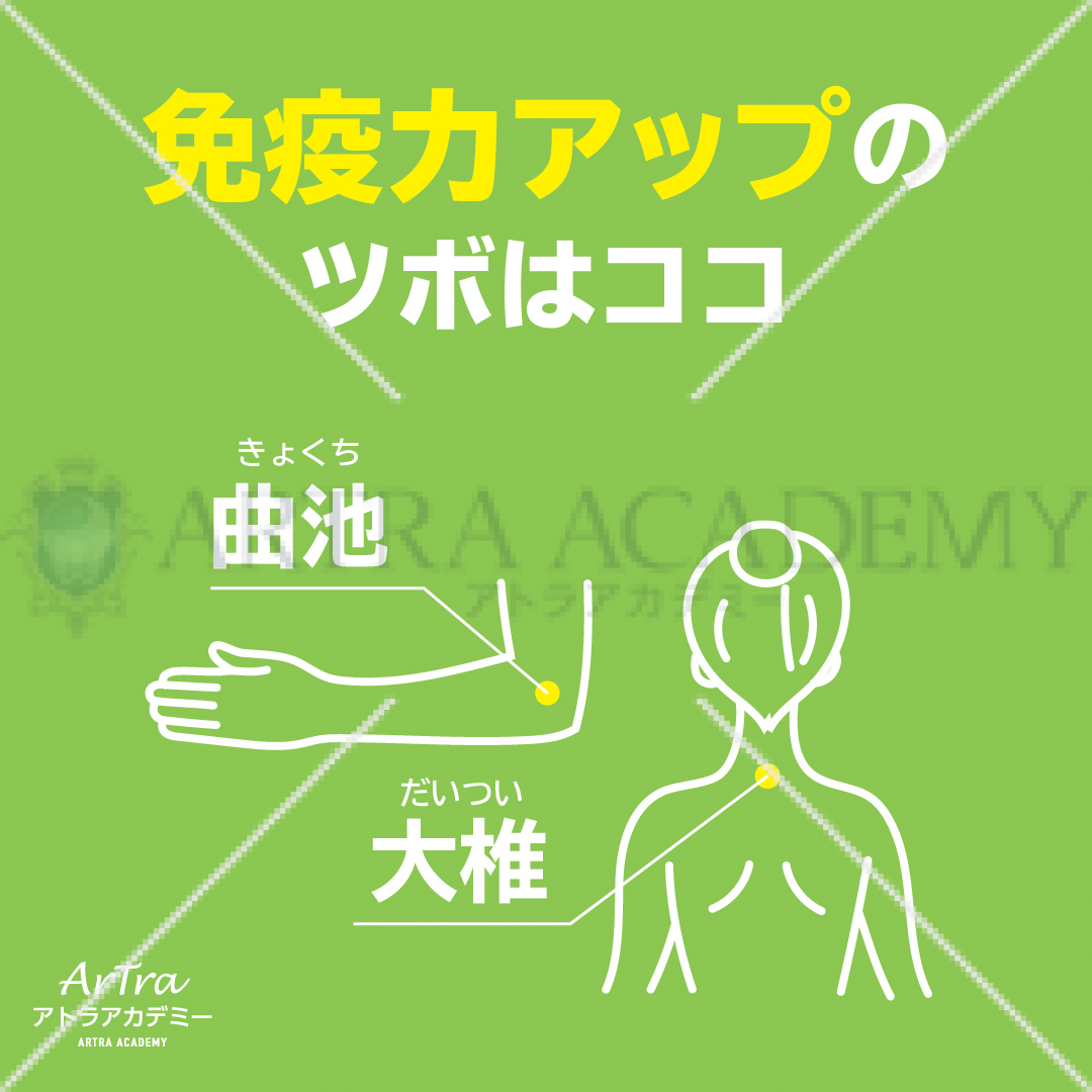 免疫力アップVer1