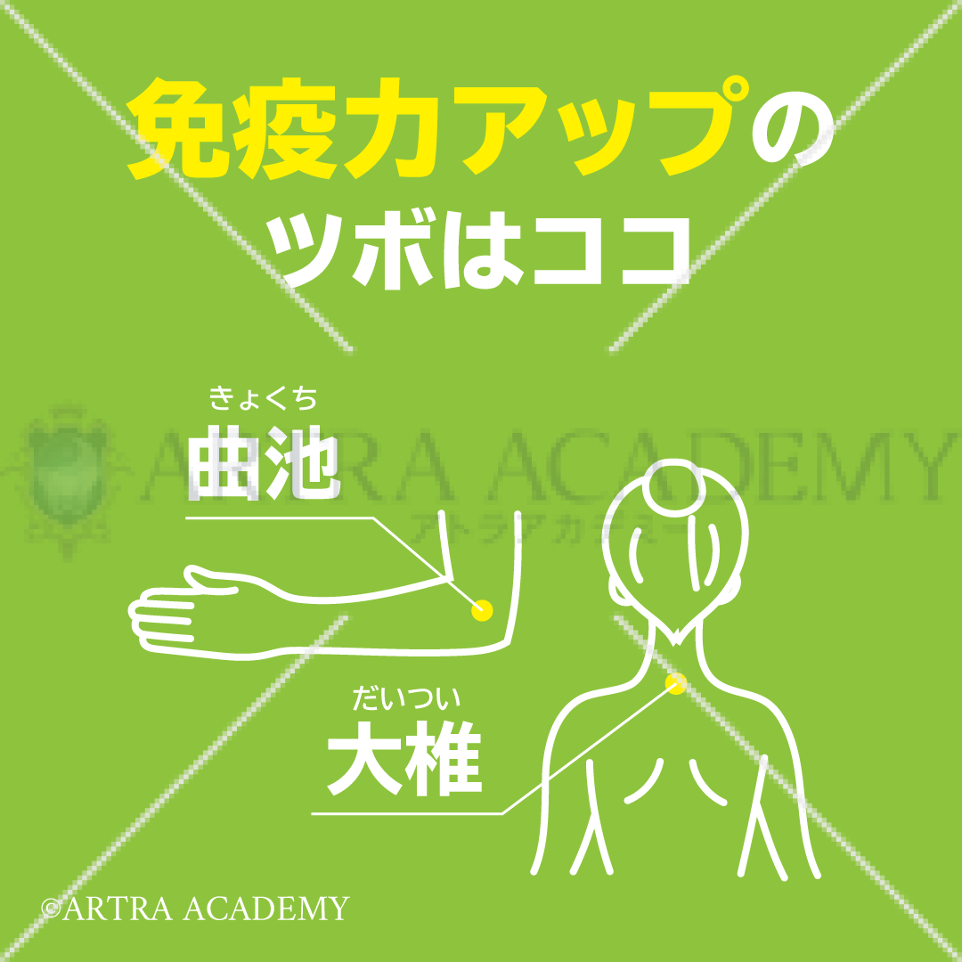 免疫力アップのツボ