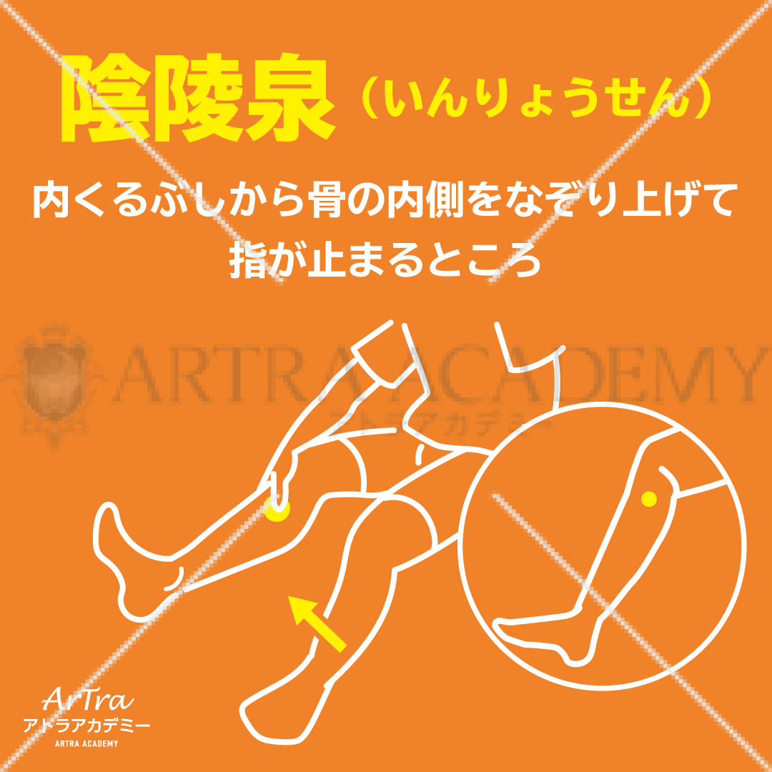 接骨院の集患に役立つ無料イラスト ツボ 陰陵泉 アトラアカデミー