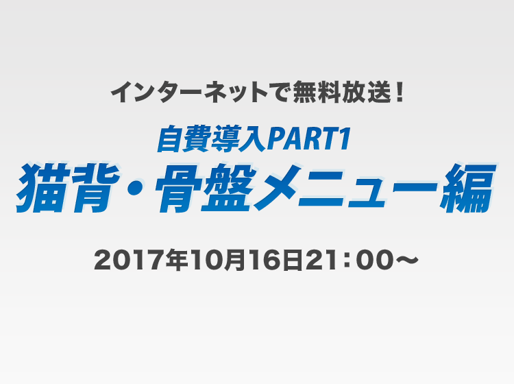 自費導入part1 猫背・骨盤メニュー