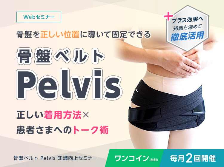 骨盤ベルト Pelvis 知識向上セミナー アトラアカデミー