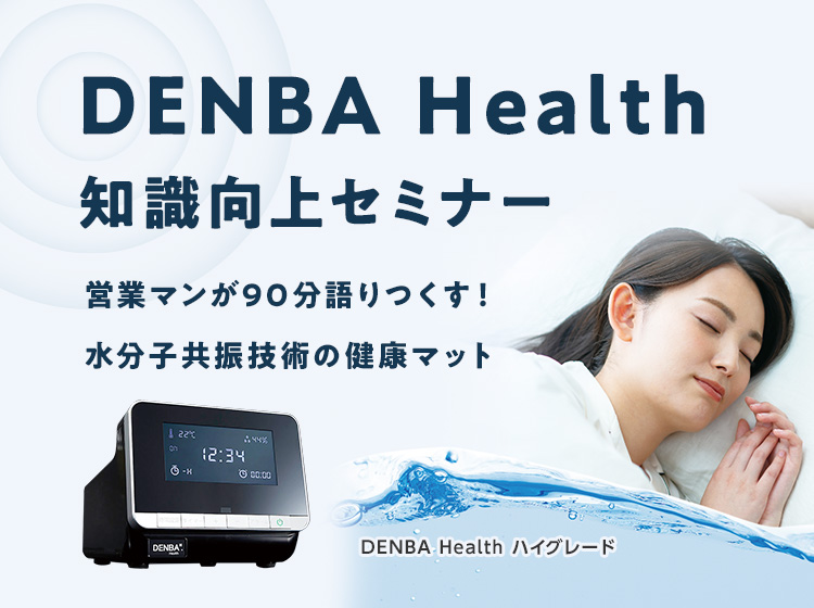 DENBA HEALTH デンバヘルスハイグレード本体 コンセントやマット付き