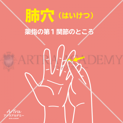 ツボ「肺穴」