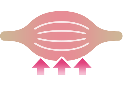 約3万回の筋肉への刺激