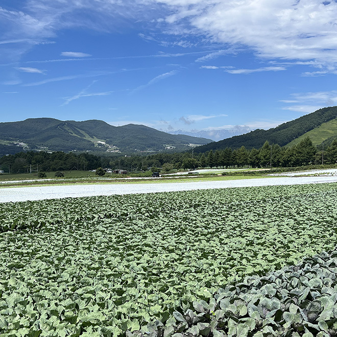プーマキャンプ菅平の様子