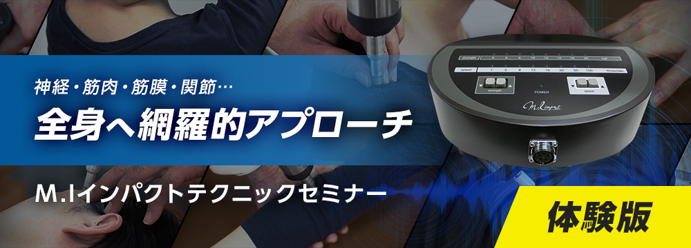 M.Iインパクトテクニックセミナー体験版